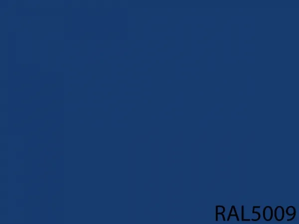 RAL 5009