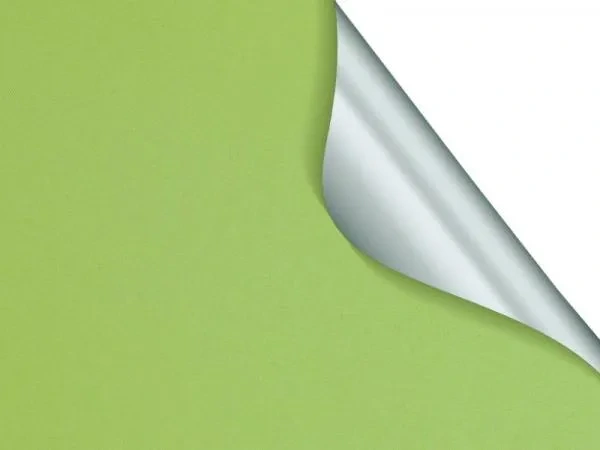 Madagaskar 067 (thermo) - zöld