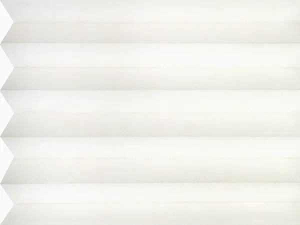 BO 11195 - Sea Shell