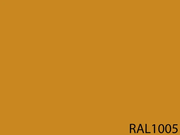 RAL 1005