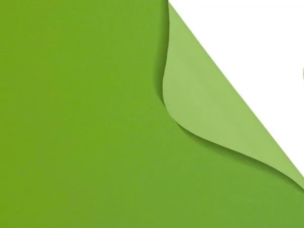 Carina BO 7937 - zöld