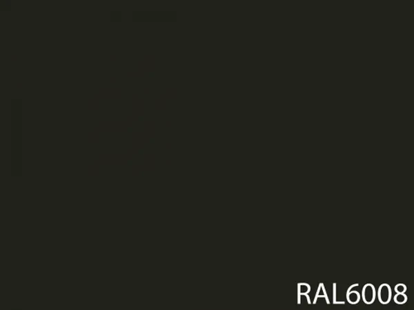 RAL 6008
