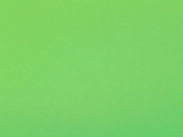 Carina 4979 - hrášková