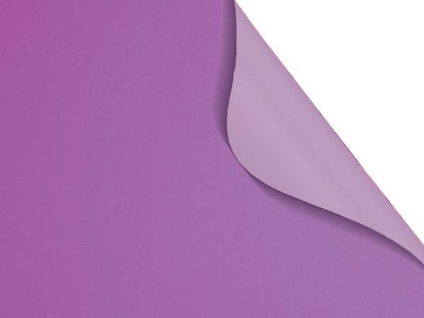 Carina BO 7901 - fialová