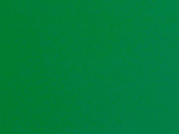 Carina 10111 - sýtozelená